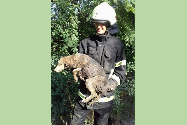 228085174_4233343773368898_4990377381113551332_n