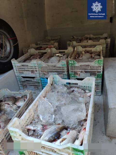 225961650_4154188977992480_2482346196517757328_n