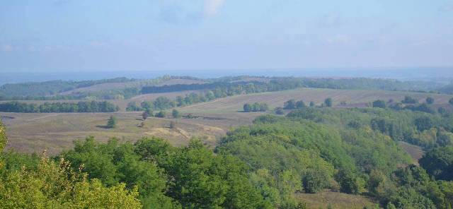 216957060_328291258935420_8136167623615864544_n