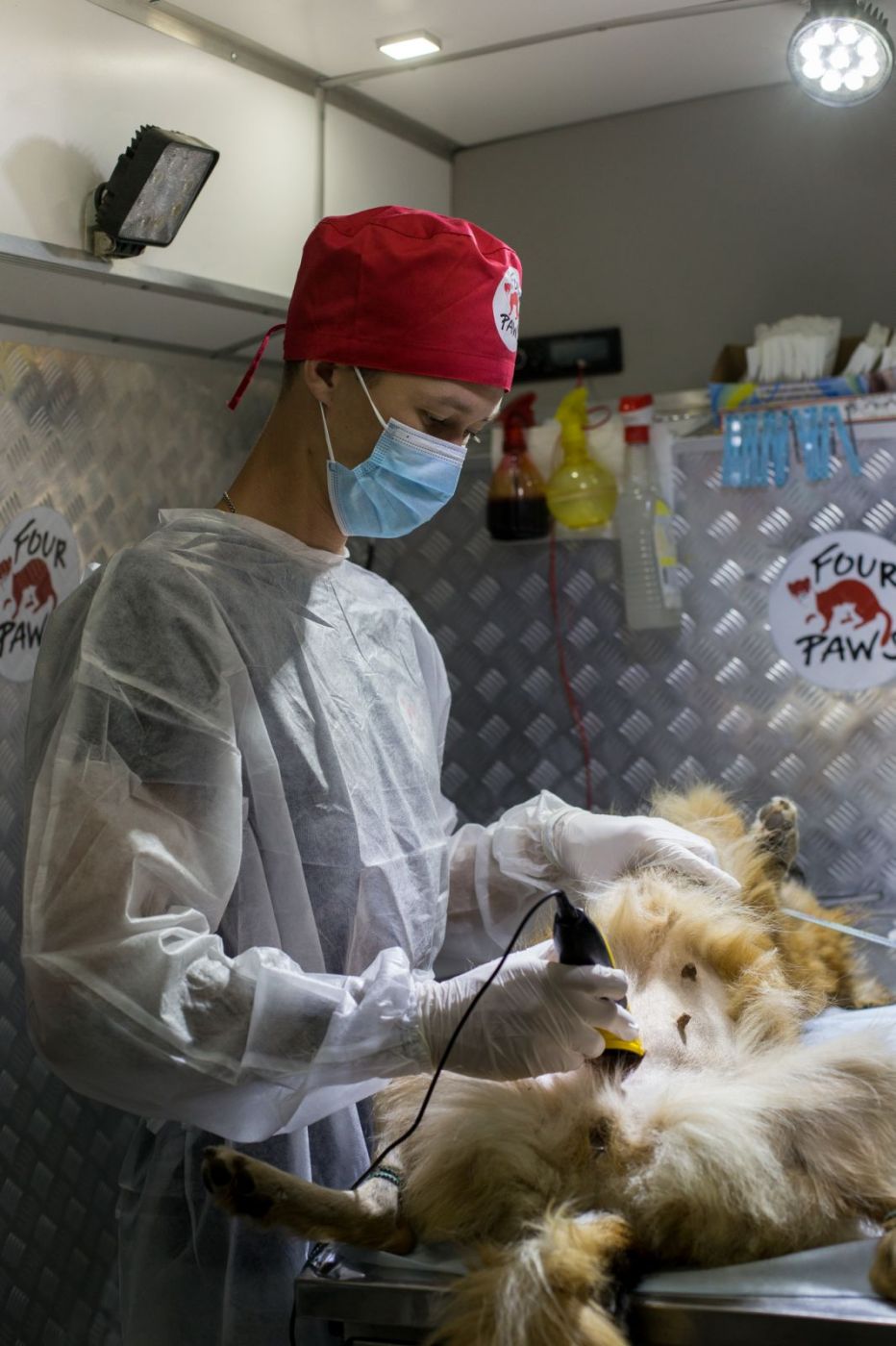 изображение_viber_2022-07-29_20-24-00-306