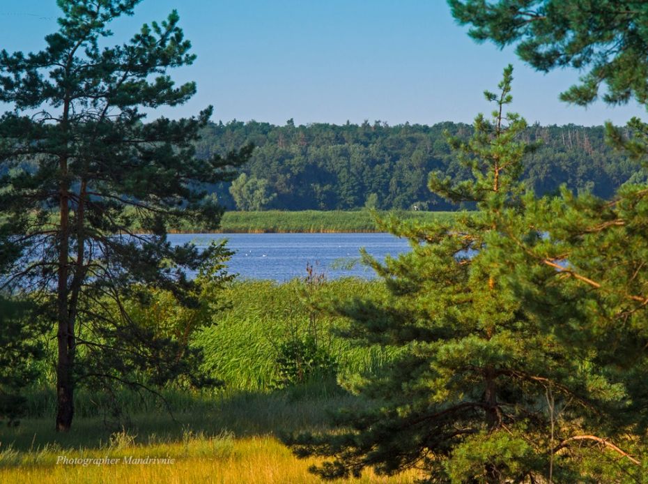 116244991_1592543537581325_5638181600675203716_n