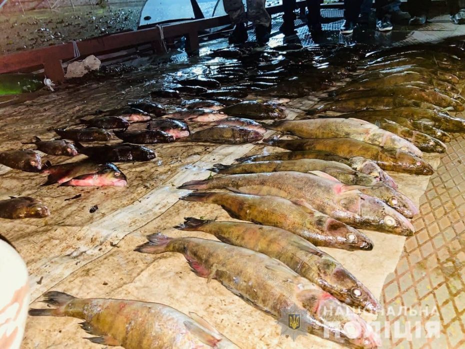 299188802_1411093479376181_3534260412650543653_n