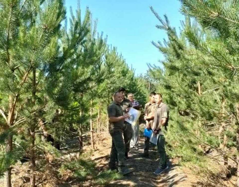 зображення_viber_2022-07-29_07-00-11-023