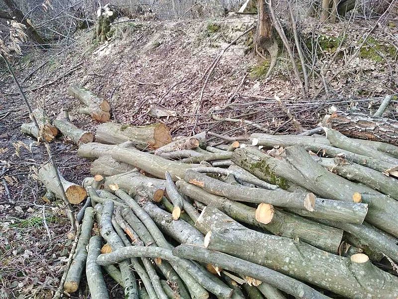 29178752-544920039216274-4460379813852479488-n-01-09