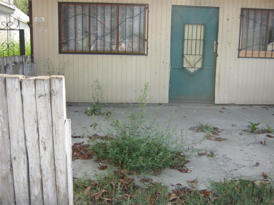 Отаке в Смілі в центрі