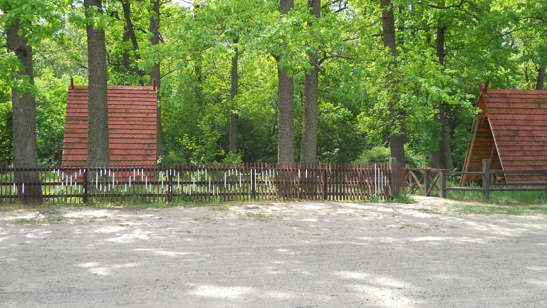 DSCN6514-768x432