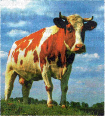 image001
