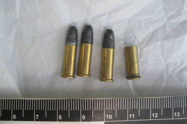 PM456image002