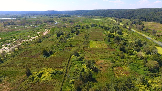 DJI_0023