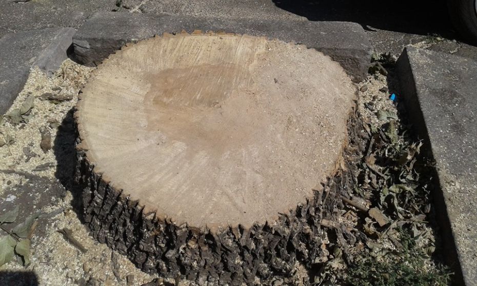 68564118_2840936235961940_3956824202958340096_n