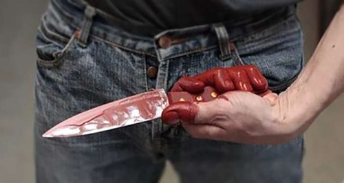 f3ccdd27d2000e3f9255a7e3e2c488001447835850-500x266