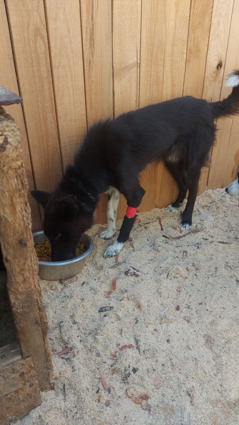 307750691_1168101677106567_4333850894789549970_n