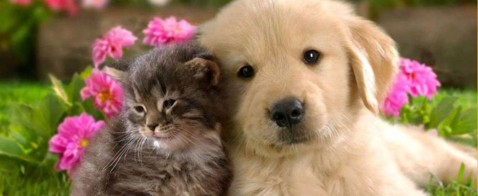 307702799_630647485265665_2296356299004977640_n