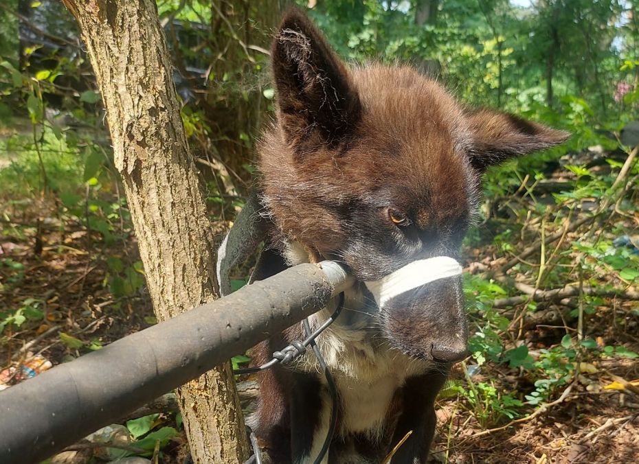 298394118_1138724226710979_5245590969329966083_n