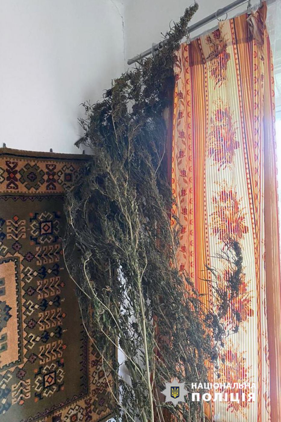 307845641_457889093049051_9064482809360698631_n