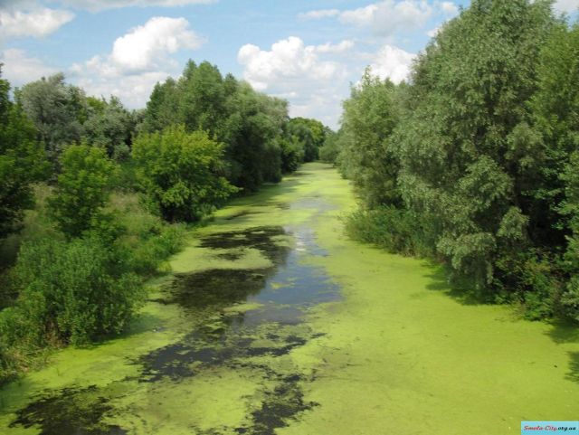 21e259c59e784ca456d867688585d094