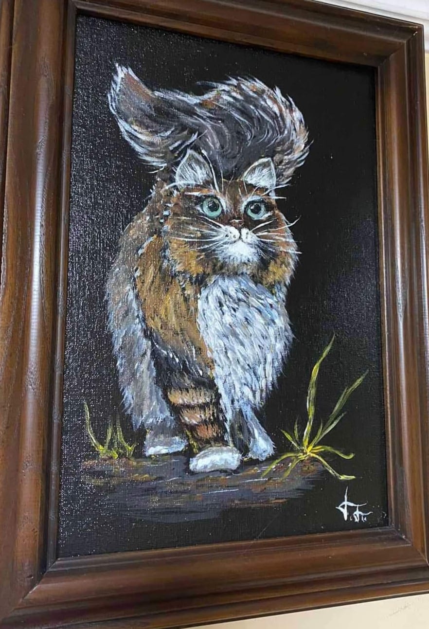 307846255_3230689580523230_7335691795696396039_n