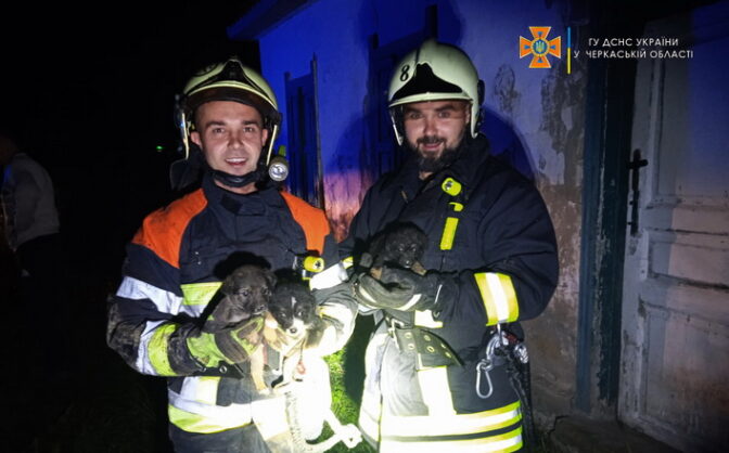 306943626_457418249756221_5166612319048469364_n-672x418