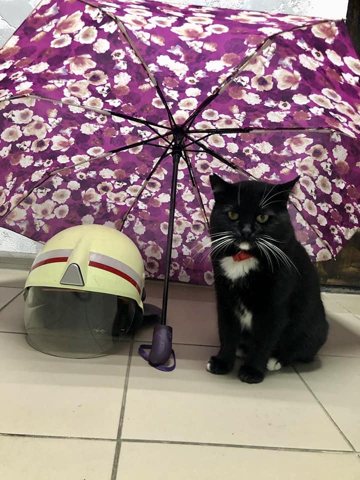 309042702_768033920947790_3116030290608515302_n