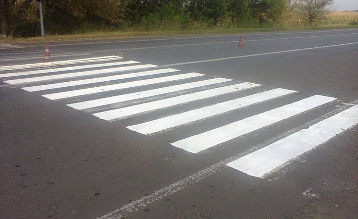 rozmitka-zebra-710x434