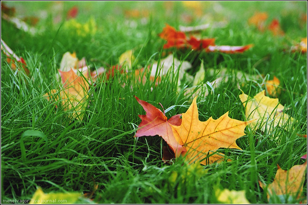 september
