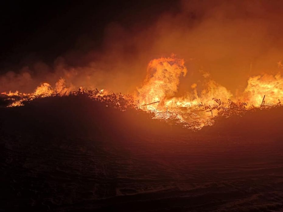 119876860_1425213574341186_6221439304415467644_n