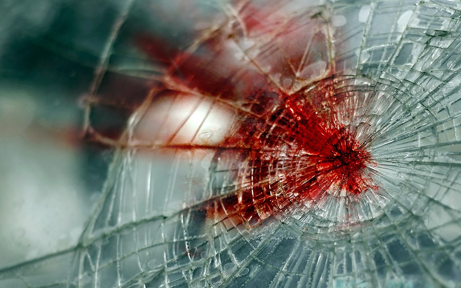 118764440_3392572247431829_2719253520246355364_n