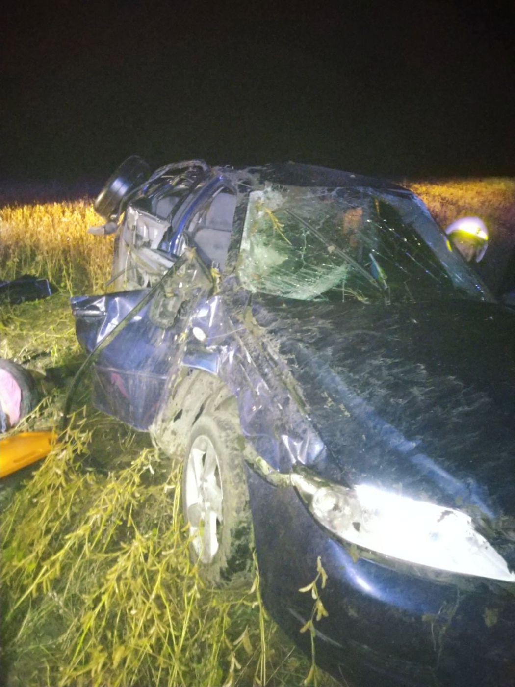 241474866_6090518047687205_11149402271376902_n