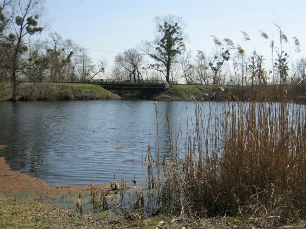 Річечка Ірдинь утворює дивовижне озерце під назвою Чорна річка. Фото Олександра Вівчарика