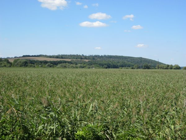 Легендарна Юрова гора. Фото Олександра Вівчарика