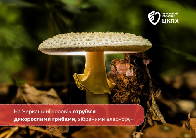 YAkshho-vy-ne-pomylyayetesya-znachyt-vy-robyte-zanadto-dribni-pomylky-61-1600x1131