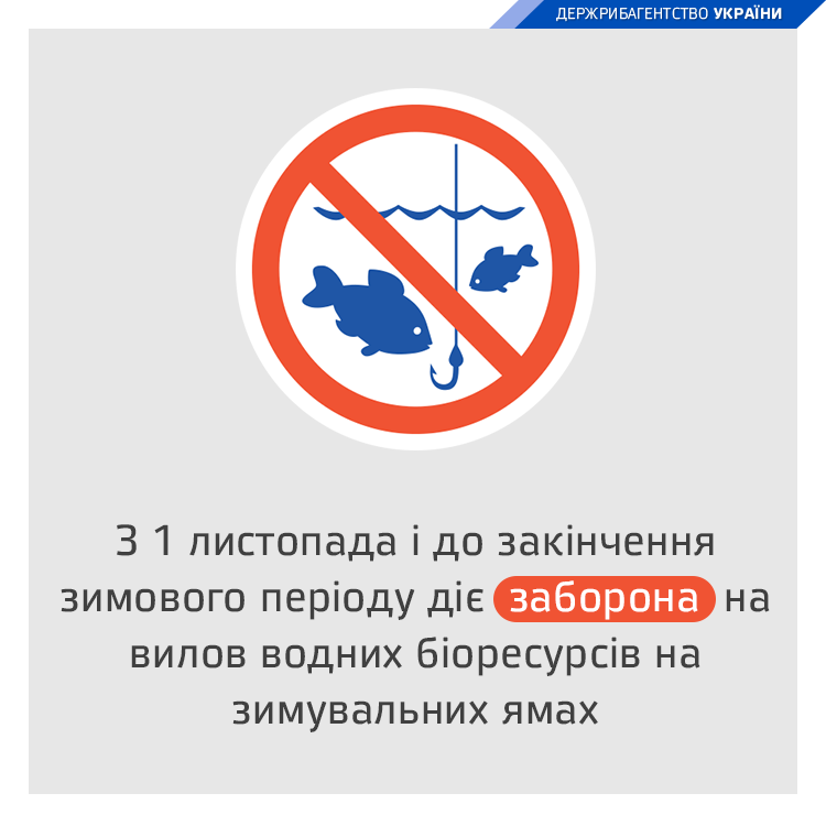 Зимувальні ями