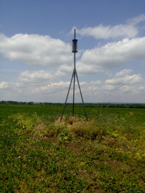 ДГМ1