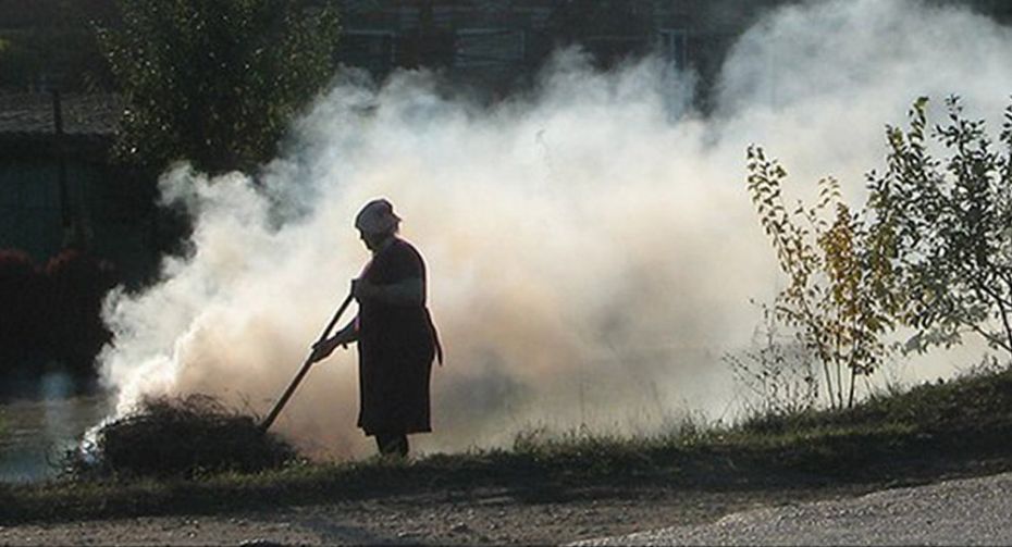 smog