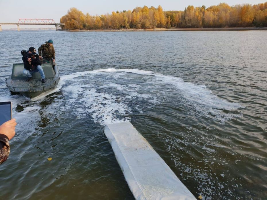 44528287_907213082807907_961642756667604992_o