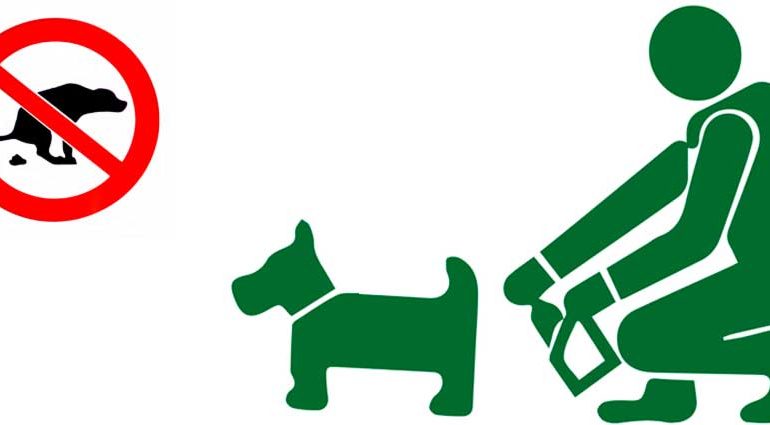 scoop_dogs_poop-770x425.jpg.pagespeed.ce.g3tGf2sITR