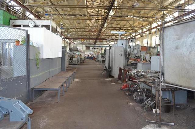 shpola-1