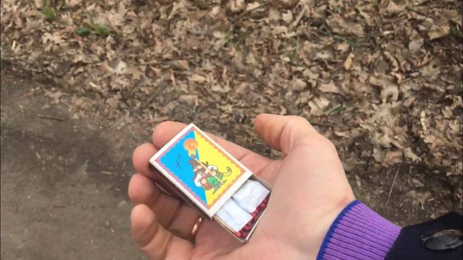 125836080_208216717423260_2954008226343452845_n