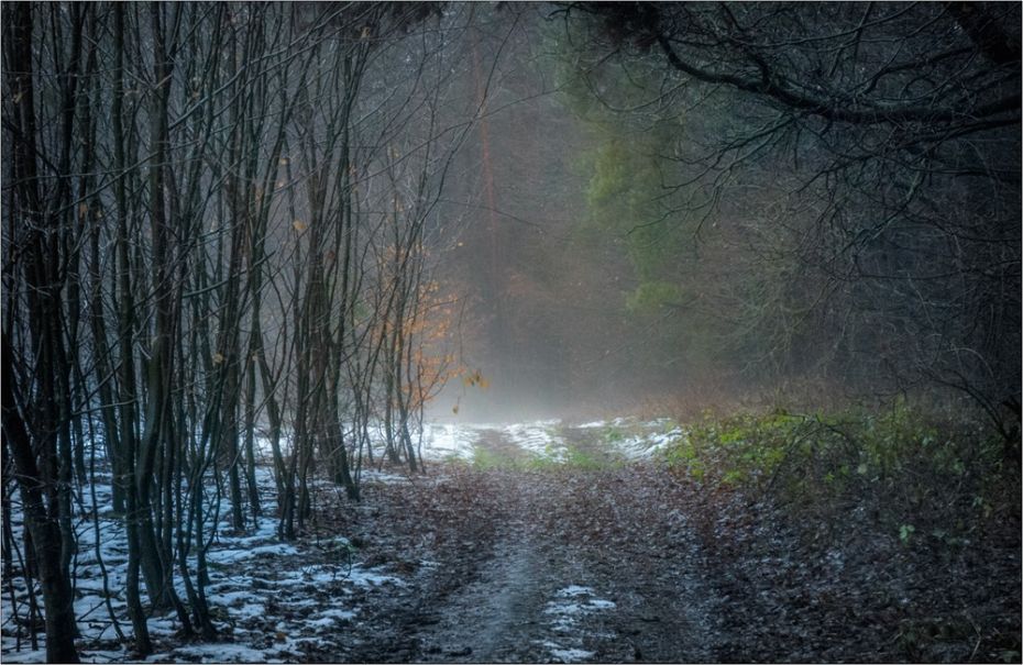 125287552_3462942573800339_3678483351107041464_o