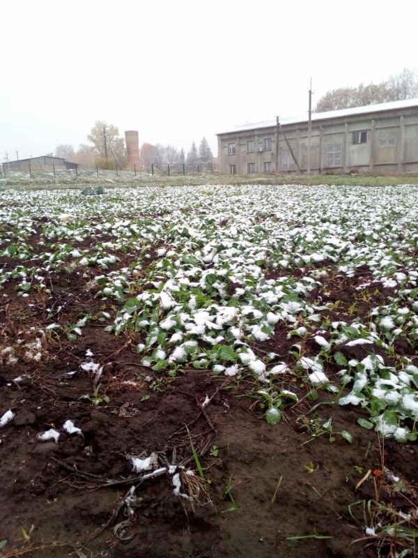 125381240_3471155649645698_3581123744349543063_o-e1605527615842