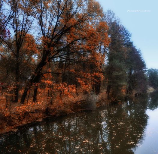 126110370_1707244316111246_6665263621726342336_o