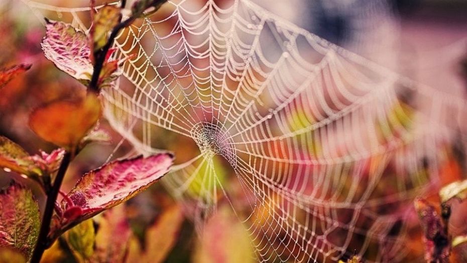 310315262_5483133531781223_4681404726866335642_n