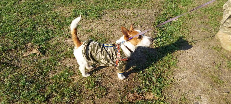 311593081_161716693202600_1382027274055660127_n