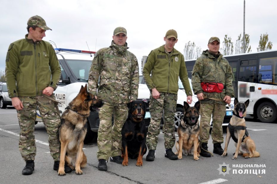 312082075_486280033543290_7606353519497296783_n