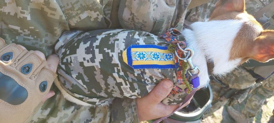 311229313_161716689869267_7133859339788419060_n