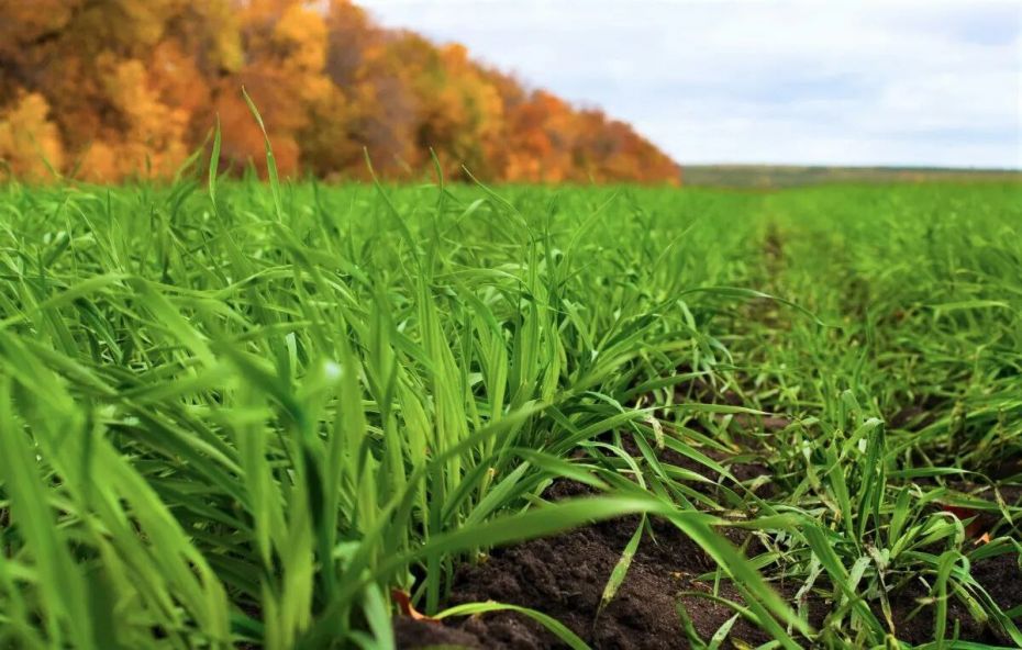 photo_2022-10-04_17-38-07