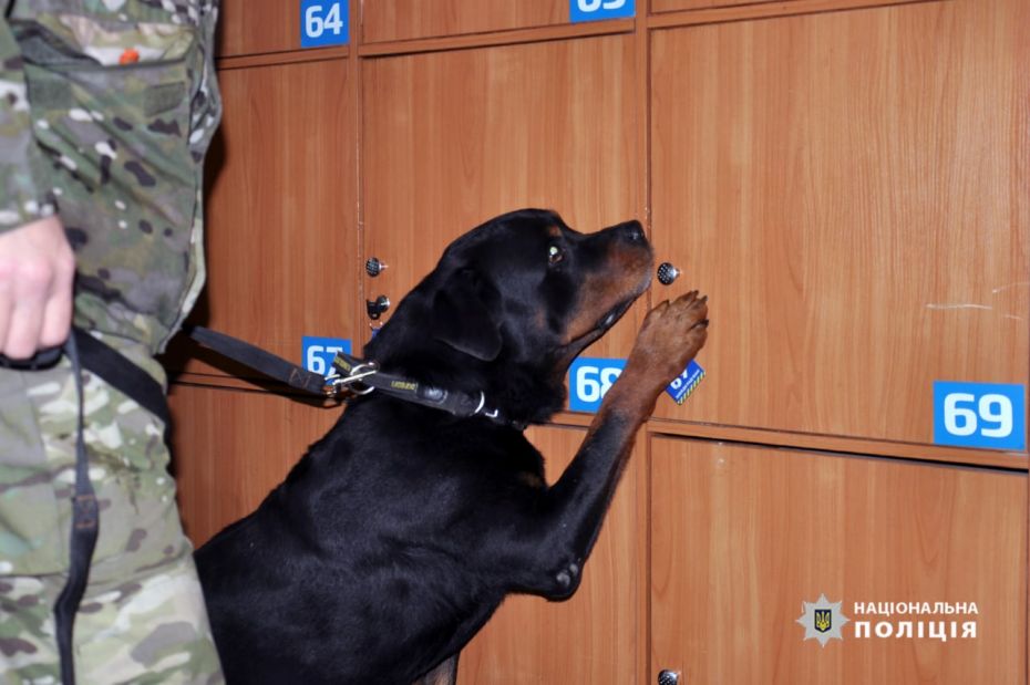 313099959_486280313543262_2180459739160722255_n