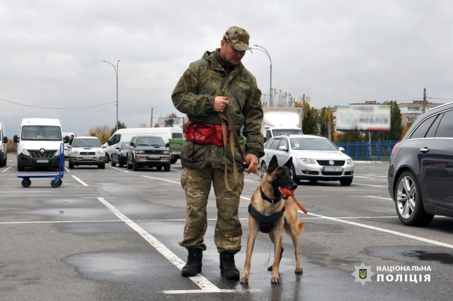 312280740_486280470209913_1438407583959528071_n