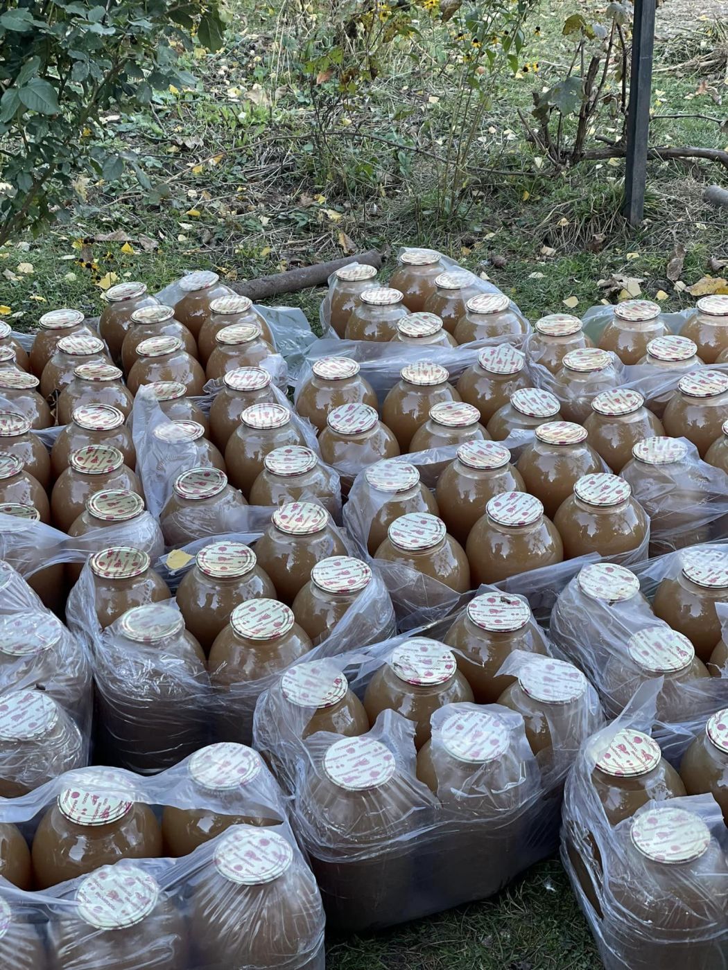 310309604_1265953390873243_2463837947126823491_n