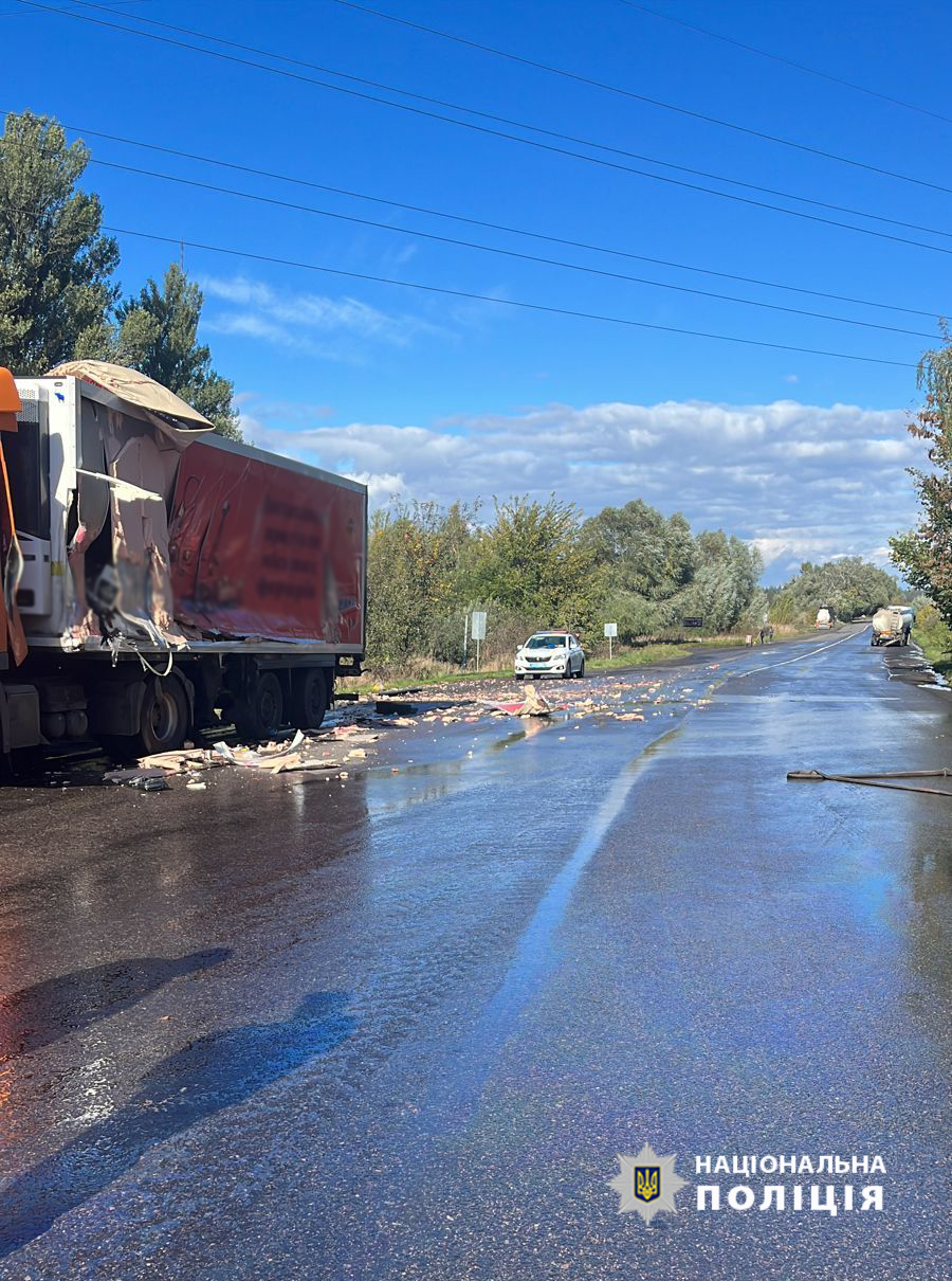 310562709_466789678825659_626442146100050733_n